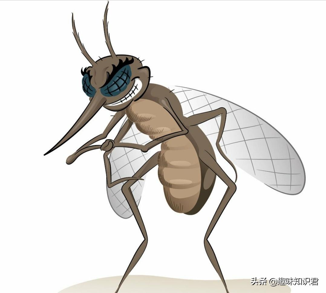 100个超级有趣的冷知识,那些稀奇古怪的冷知识