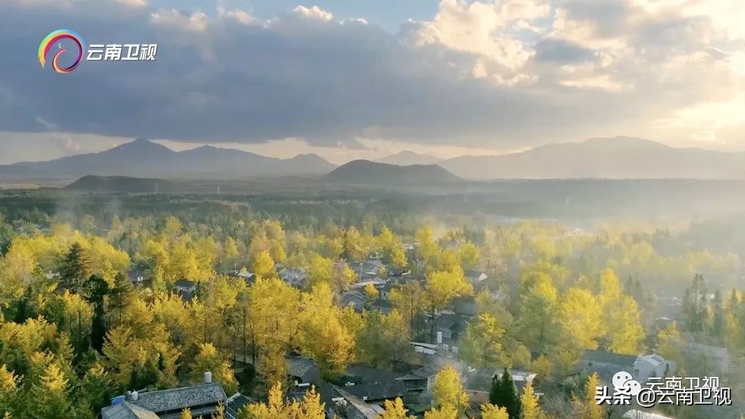 味道云南第二季他乡之味,味道云南第二季9集免费观看