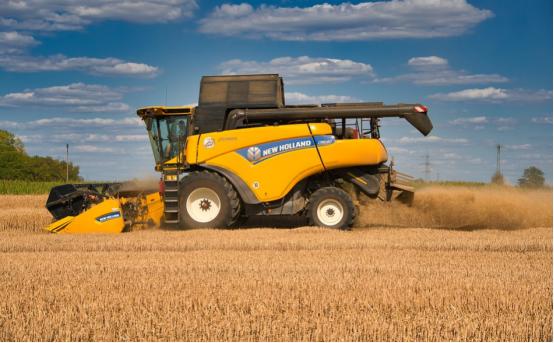 利润很吓人的农村冷门创业项目,利润很吓人10个冷门农村创业项目