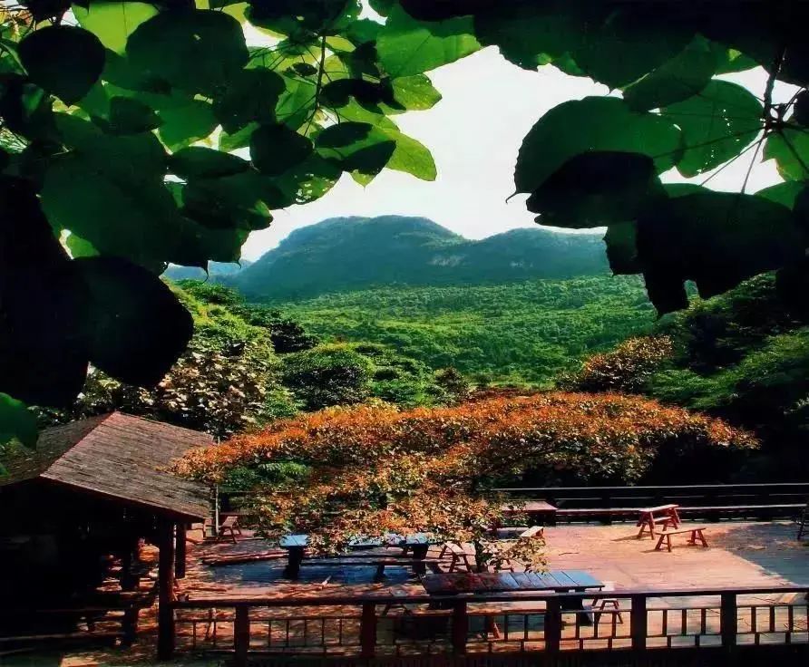 鑻卞痉涔濆窞椹跨珯鏍戜笂娓╂硥鏅偣,鑻卞痉涔濆窞椹跨珯鏍戜笂娓╂硥鎴夸环