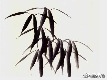 图文教程竹子画法,怎么画竹最简单最好看