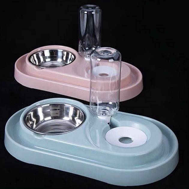 外出旅游猫咪如何安排,家有猫咪外出旅游怎么办