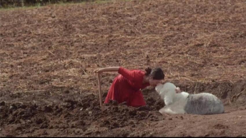 面对三观不合的人,应该怎么接触?