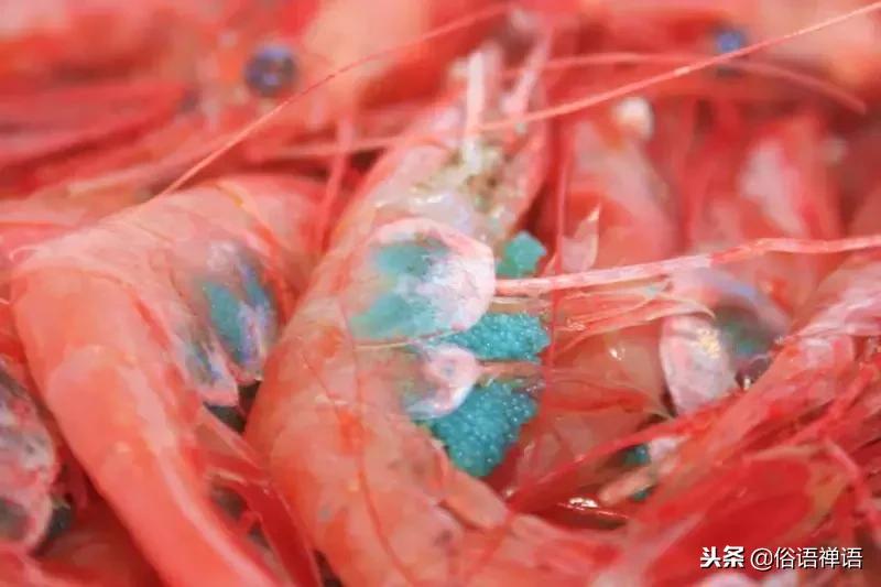 就想吃个海鲜，怎么还分冷冻、急冻、生冻、熟冻、船冻、岸冻？！