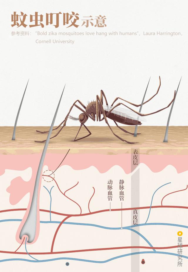 医生和病毒作战,我们如何对付病毒