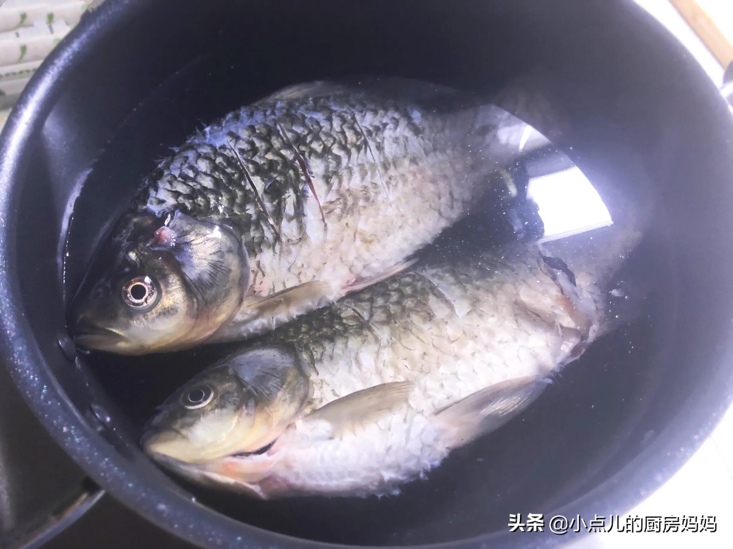 怎么熬出不腥的鲫鱼汤,熬鲫鱼汤不加猪油会不会白