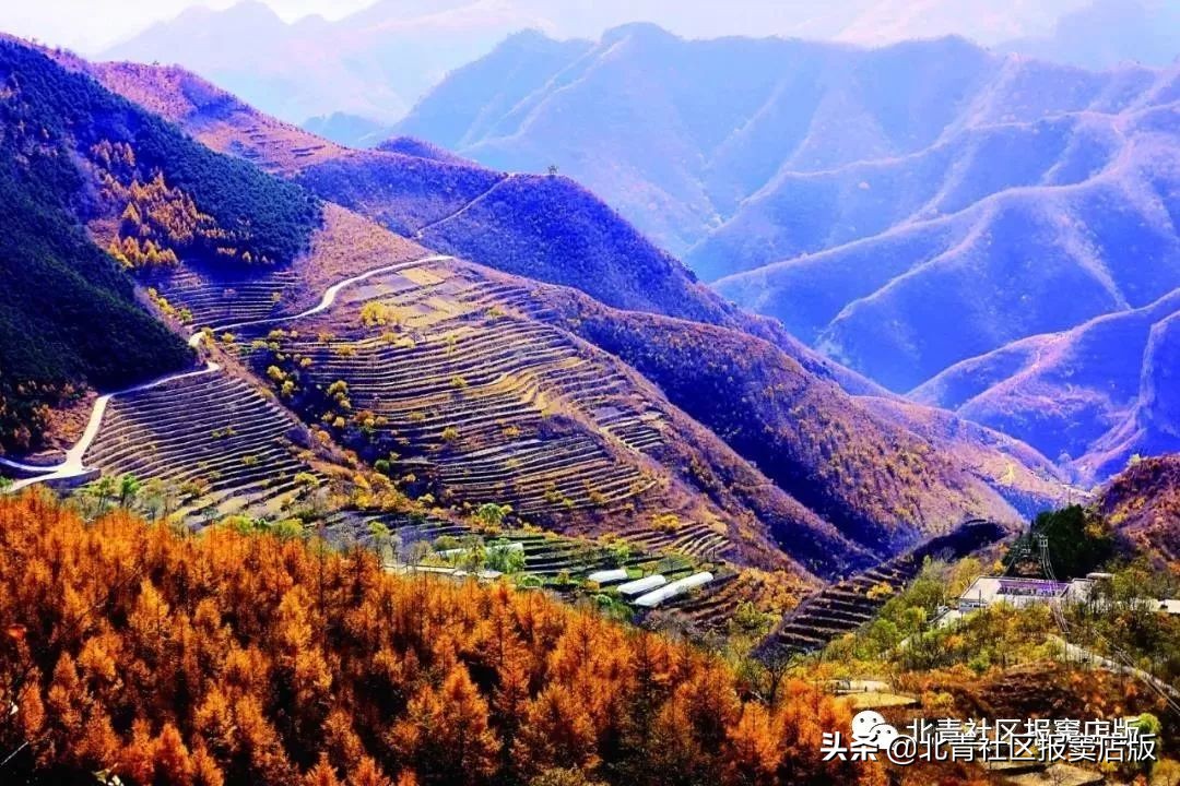 乐游丨周末将至，一起来看壮观红叶、品道口烧*吧鸡**