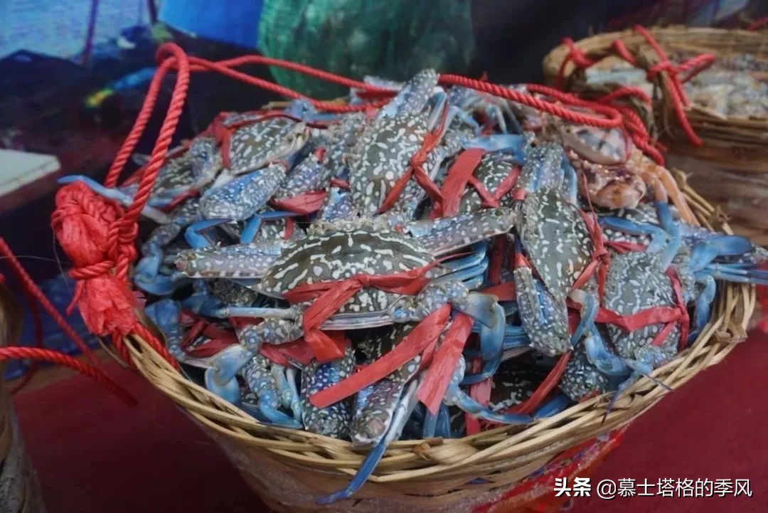 西双版纳北海湛江哪个适合养老,湛江北海哪个城市最宜居呢