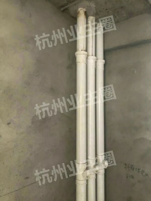 绿都什么意思,绿都包括哪些绿