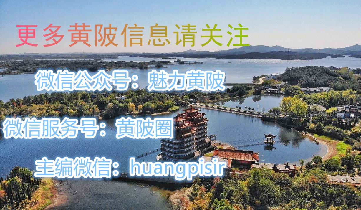 湖北大学生创业扶持项目,湖北省返乡创业补贴政策2020