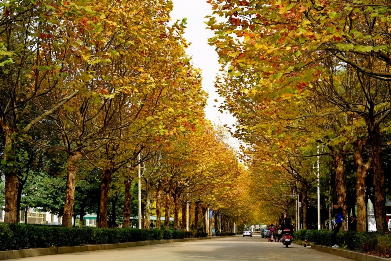 武汉工程大学排名为何那么低,武汉工程大学口碑