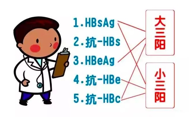 乙肝五项所说的大三阳、小三阳、大二阳、小二阳，你知道区别吗？