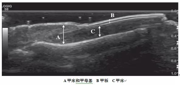 绉戝涔嬬獥,鍖婚櫌绉戝涔嬬獥