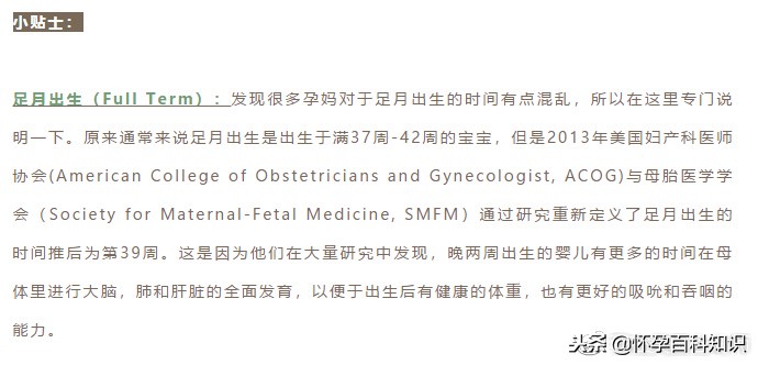 怀孕各个时期胎儿发育过程,怀孕的过程要几天