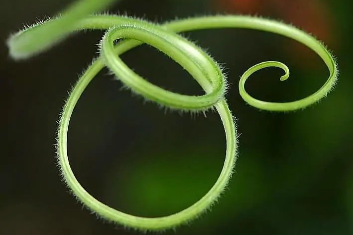 为什么漂亮的女生总是招同性嫉妒,女人怎么应对来自同性的嫉妒