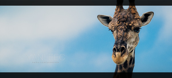 泰国旅游漫游,最新鲜玩转泰国攻略