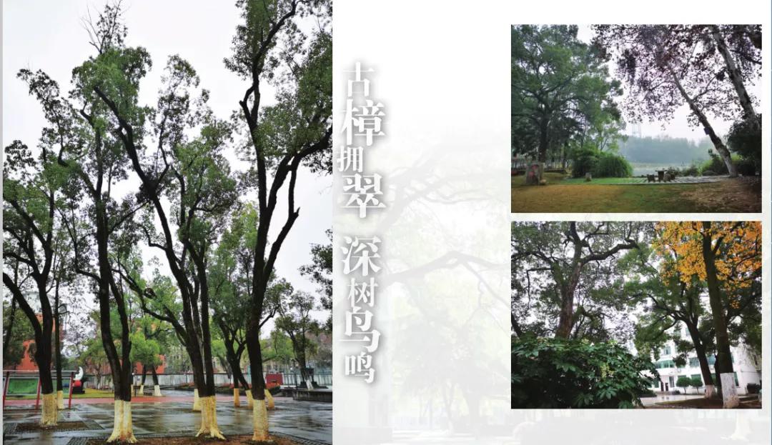 乐平二中校歌,乐平中学建校90周年庆典大会