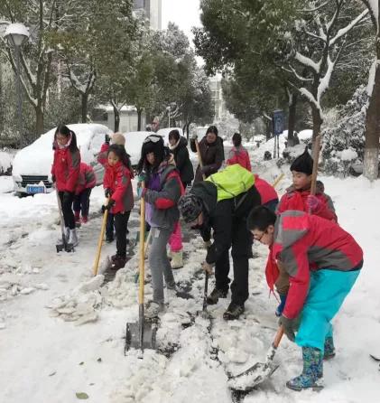 南京市金陵小学简介,南京市金陵小学多少个班