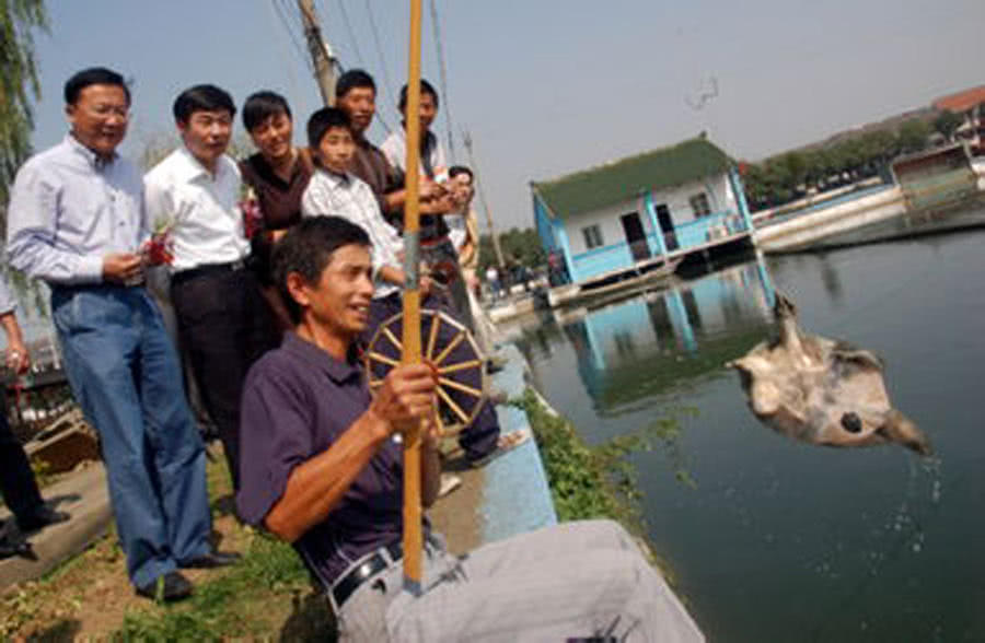 民间历史悠久,技术含量很高的渔猎绝技“打甲鱼”