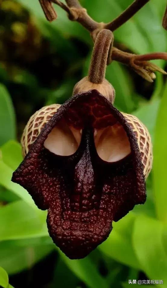 六一相册影集,六一照片专场