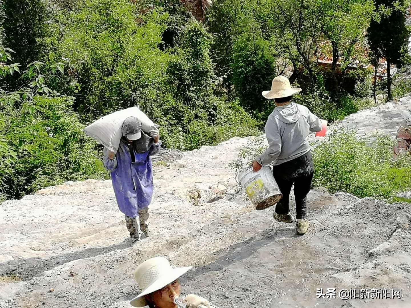 阳新县黄颡口镇发展,阳新县黄颡口镇项目