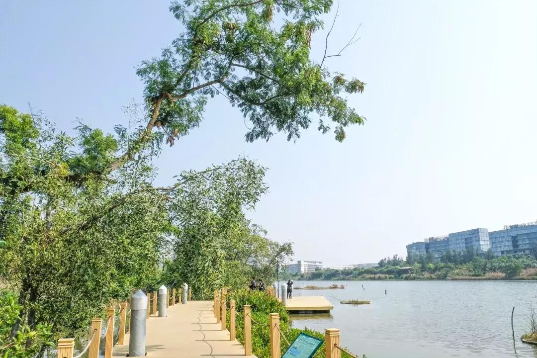 如今的世界之窗,介绍世界之窗