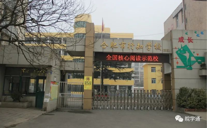 名校解读合肥行知学校,合肥38中东校区和行知学校哪个好