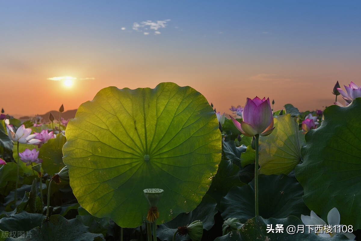 湖南道县要撤县建市吗,永州道县划市进展