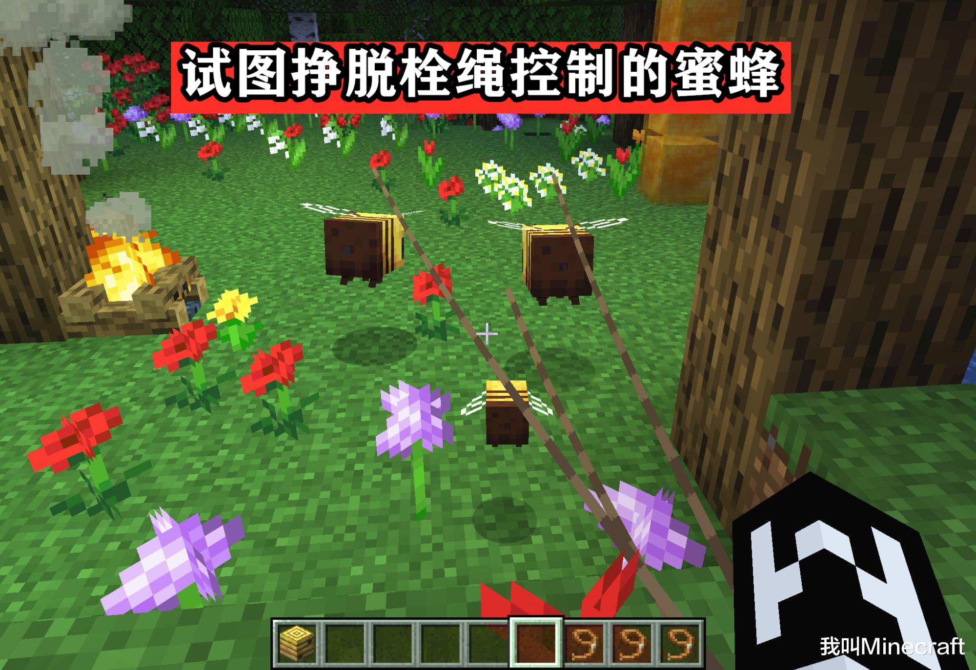 minecraft蜜蜂更新了什么,minecraft蜜蜂维度