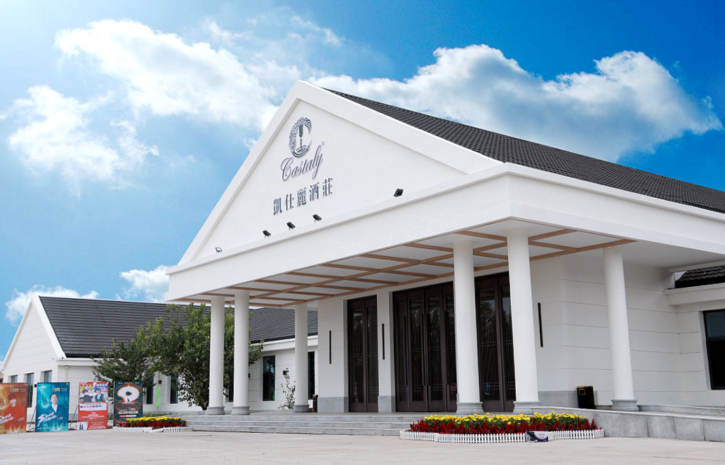 法国红酒和智利红酒哪个好,法国红酒哪个值得买