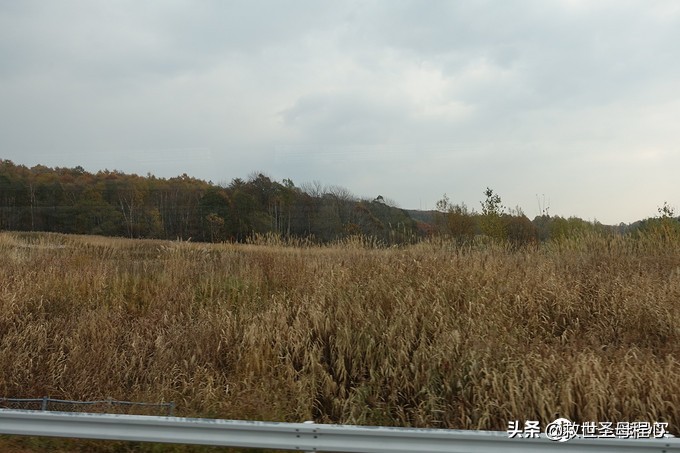 日本旅游工资流水单什么样,日本流水账式旅行