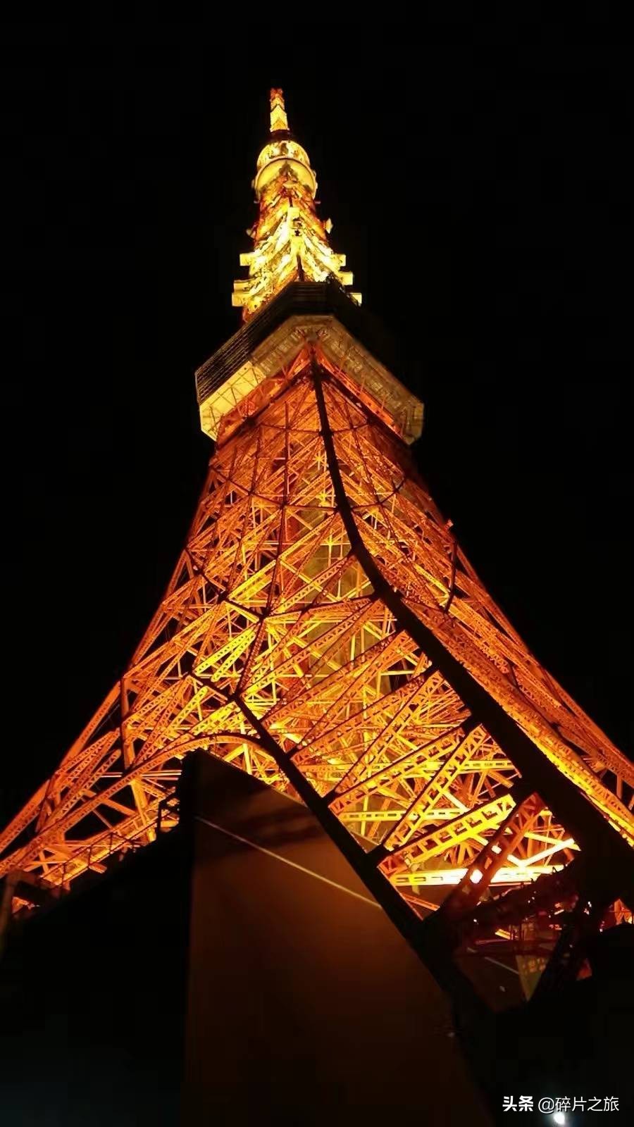 豪华游轮日本游旅游攻略,特价日本豪华游轮旅游攻略