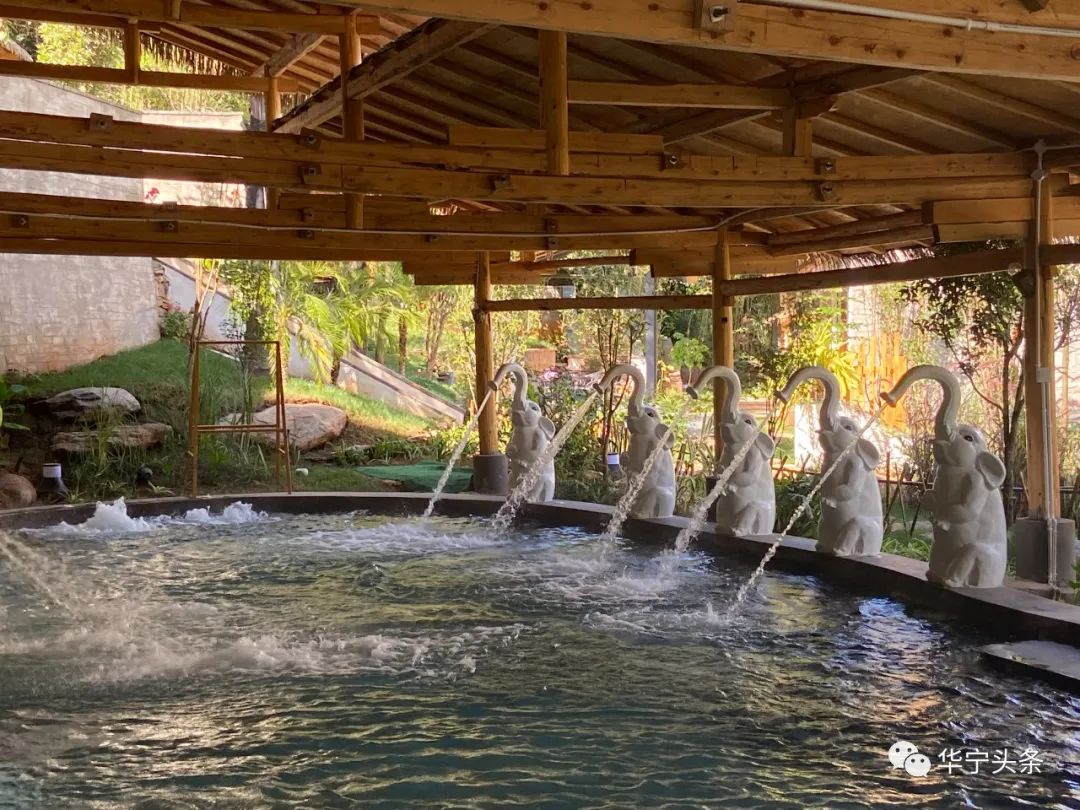 玉溪华宁象鼻温泉门票多少,2019年华宁象鼻温泉度假村