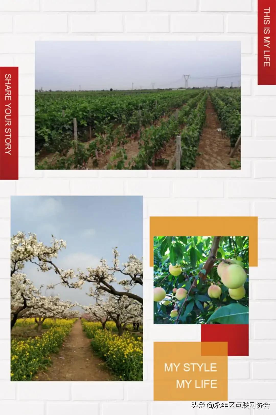 2024年乡村建设工作思路,乡村建设5年行动方案全文