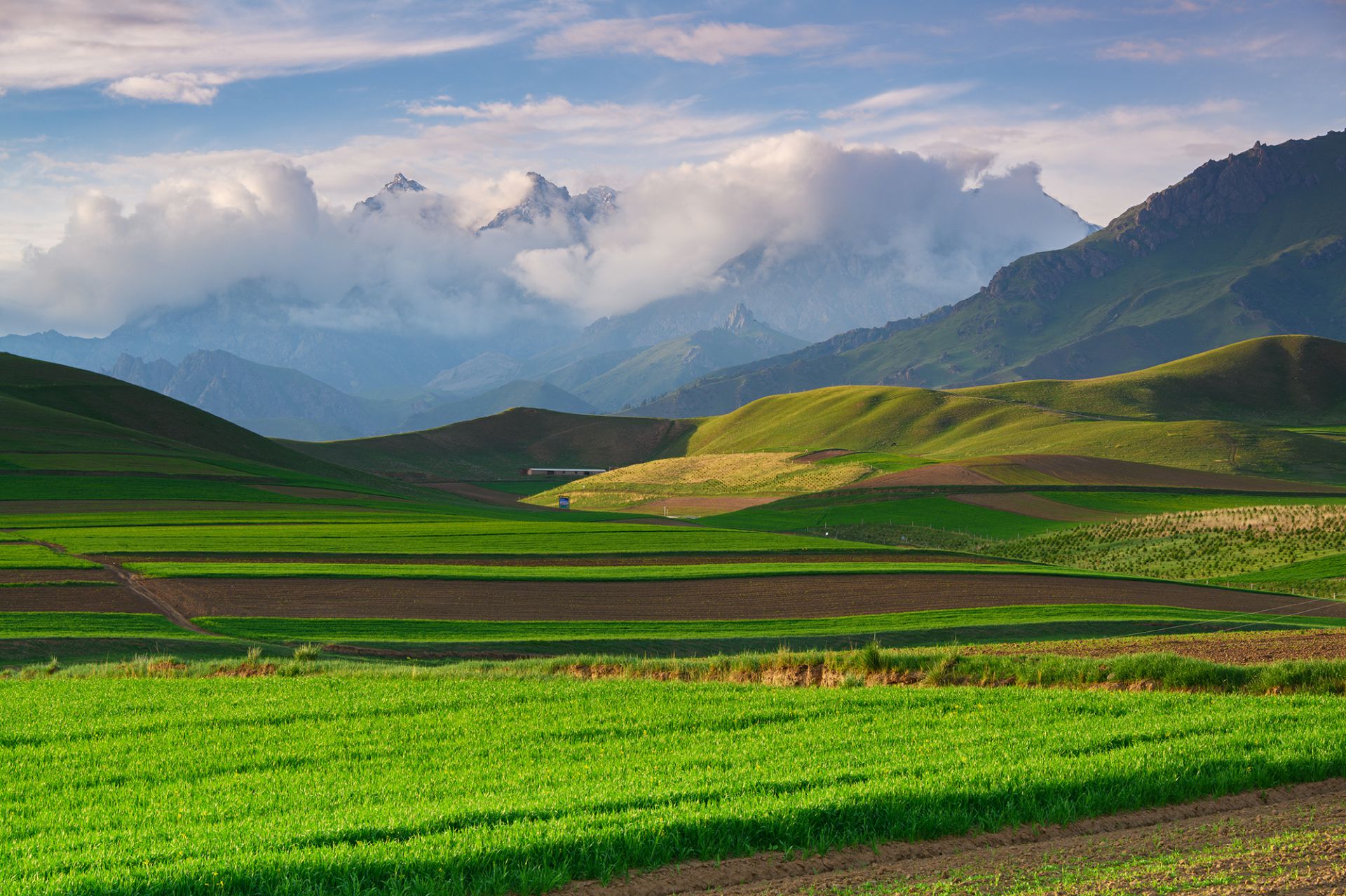 尼康z7最新人像片欣赏图,尼康z7摄影讲解