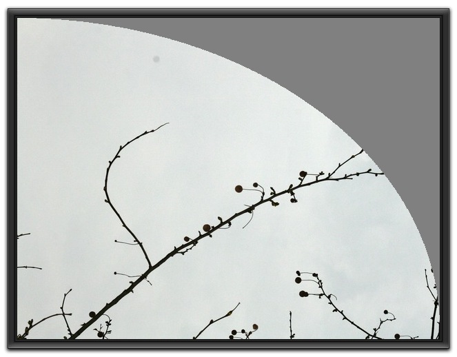 怎么过七夕会让女朋友觉得很特别,过七夕怎么才能给女朋友惊喜