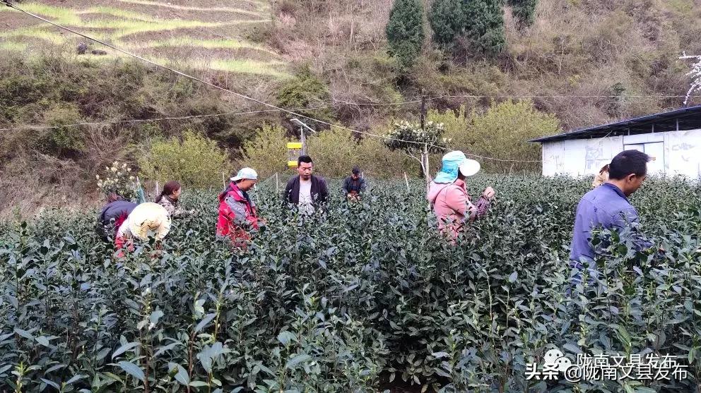 头条任波身残志坚托起创业梦,任波身残志坚托起创业梦完整版