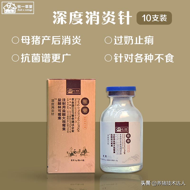 链球菌的症状及防治,链球菌最佳治疗方法
