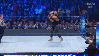 wwesd和raw所有选手,wwesd冠军腰带