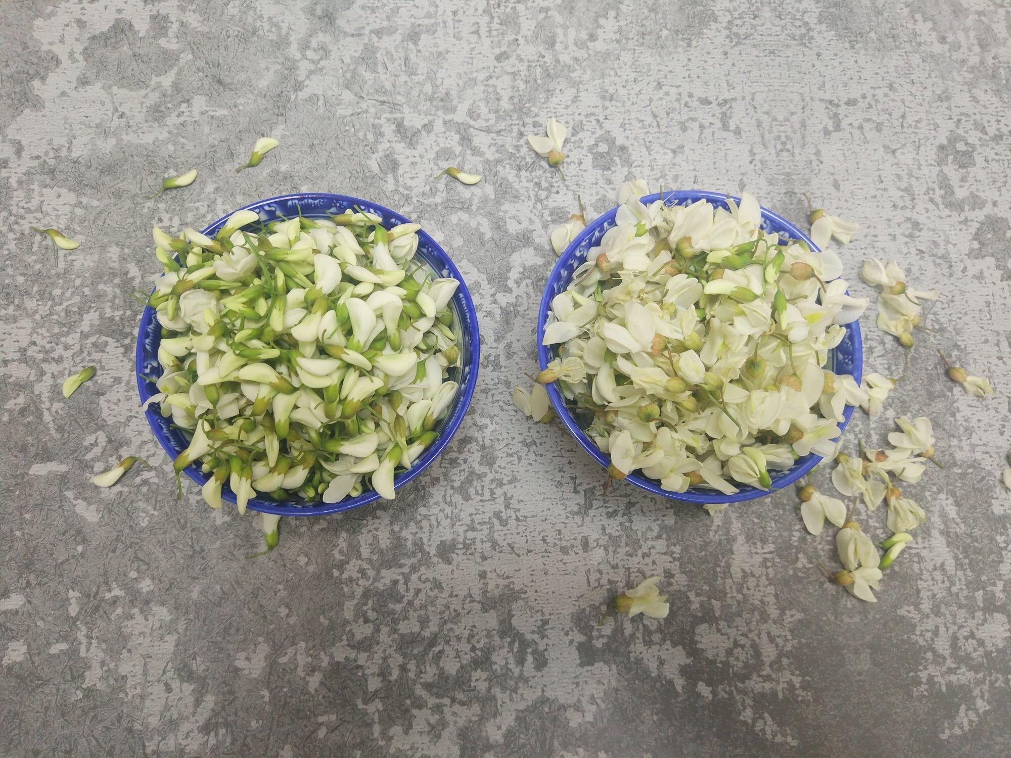 槐花的正确吃法和食用方法,槐花的最佳吃法吃槐花有什么好处