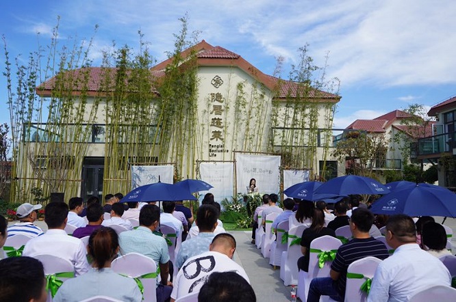 隐居山水度假酒店,蓬莱海景民宿酒店推荐