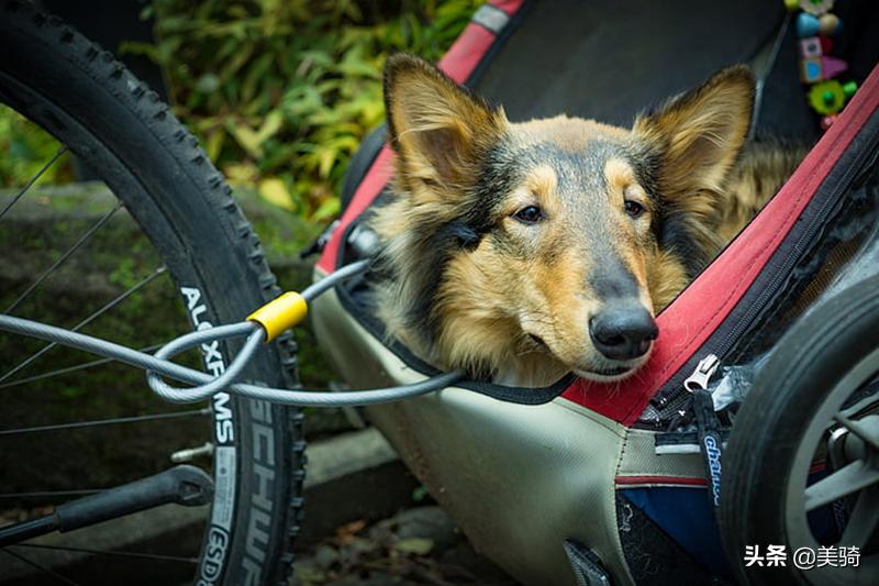 骑车不小心撞到人，被讹钱怎么办？