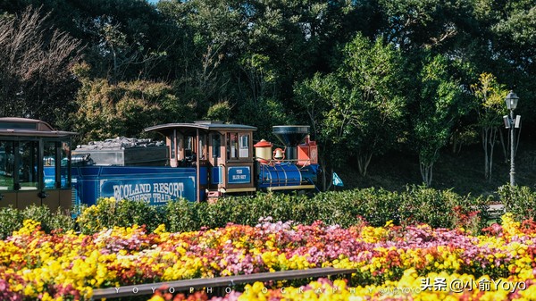济州岛最值得去的地方,来济州岛第一天去哪玩