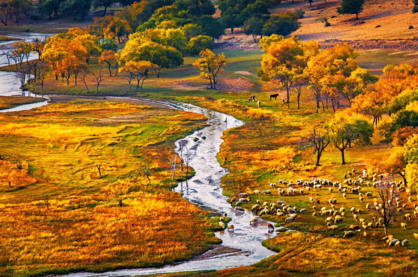原创诗词14首,经典诗词36首