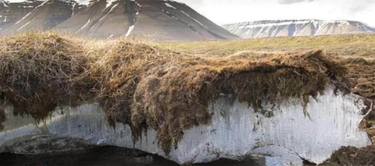 潘多拉动物盒子,潘多拉盒里面的黑色怪物