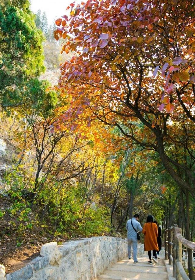 济南旅游景点推荐带孩子玩,济南旅游景点推荐适合带孩子