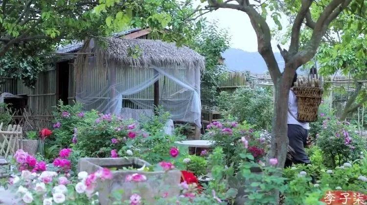 看完李子柒的视频有什么感觉,看李子柒的感想