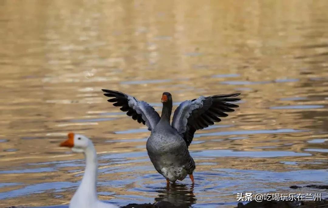 兰州最冷的区,兰州最冷的地方是什么