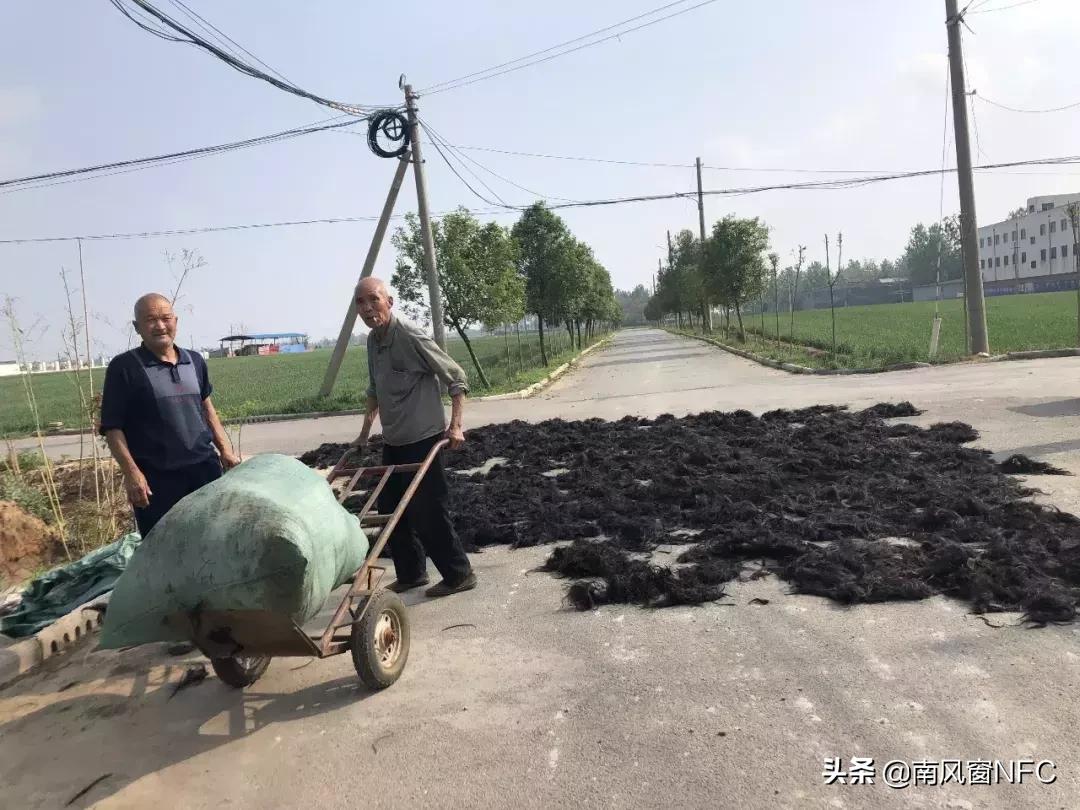 假发之都河南许昌工厂源头,假发之都许昌在哪个省