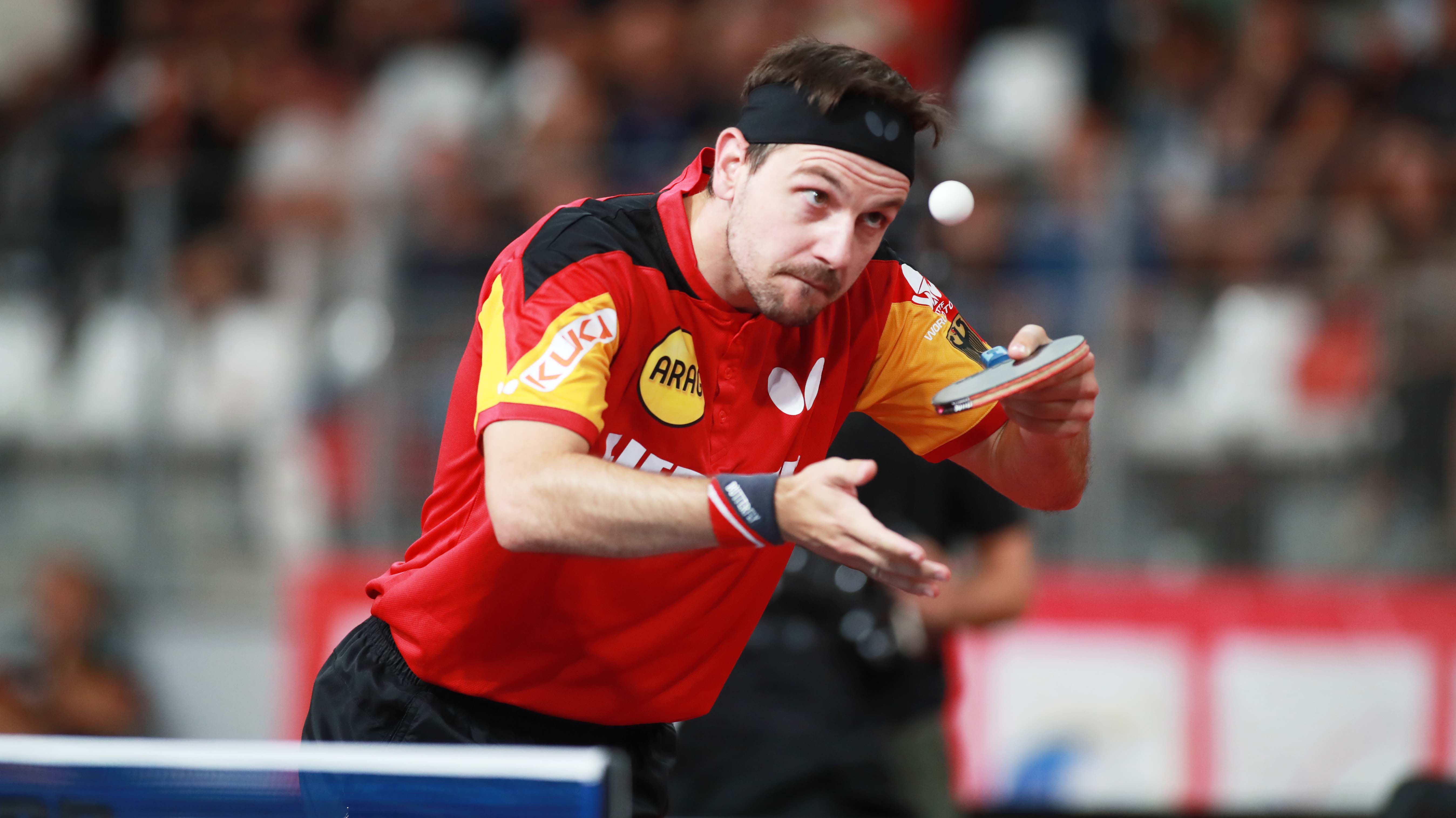 波尔眼中的乒乓球巨人,现役球员波尔